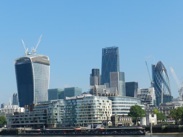 Website_photo_1.JPG